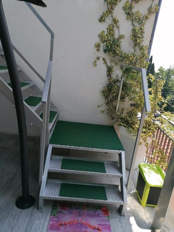 Apartment Matija *